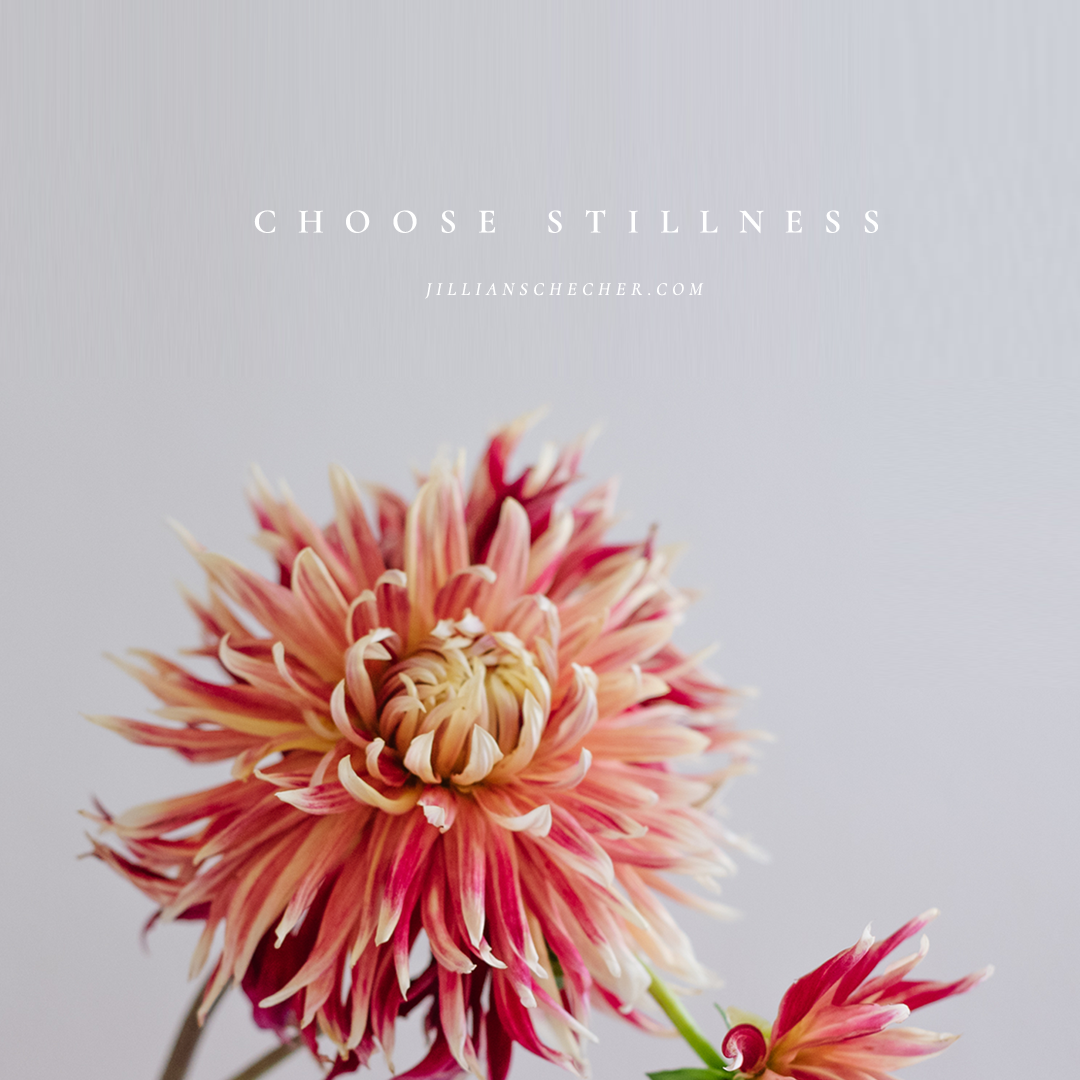 Choose Stillness-Jillian Schecher-